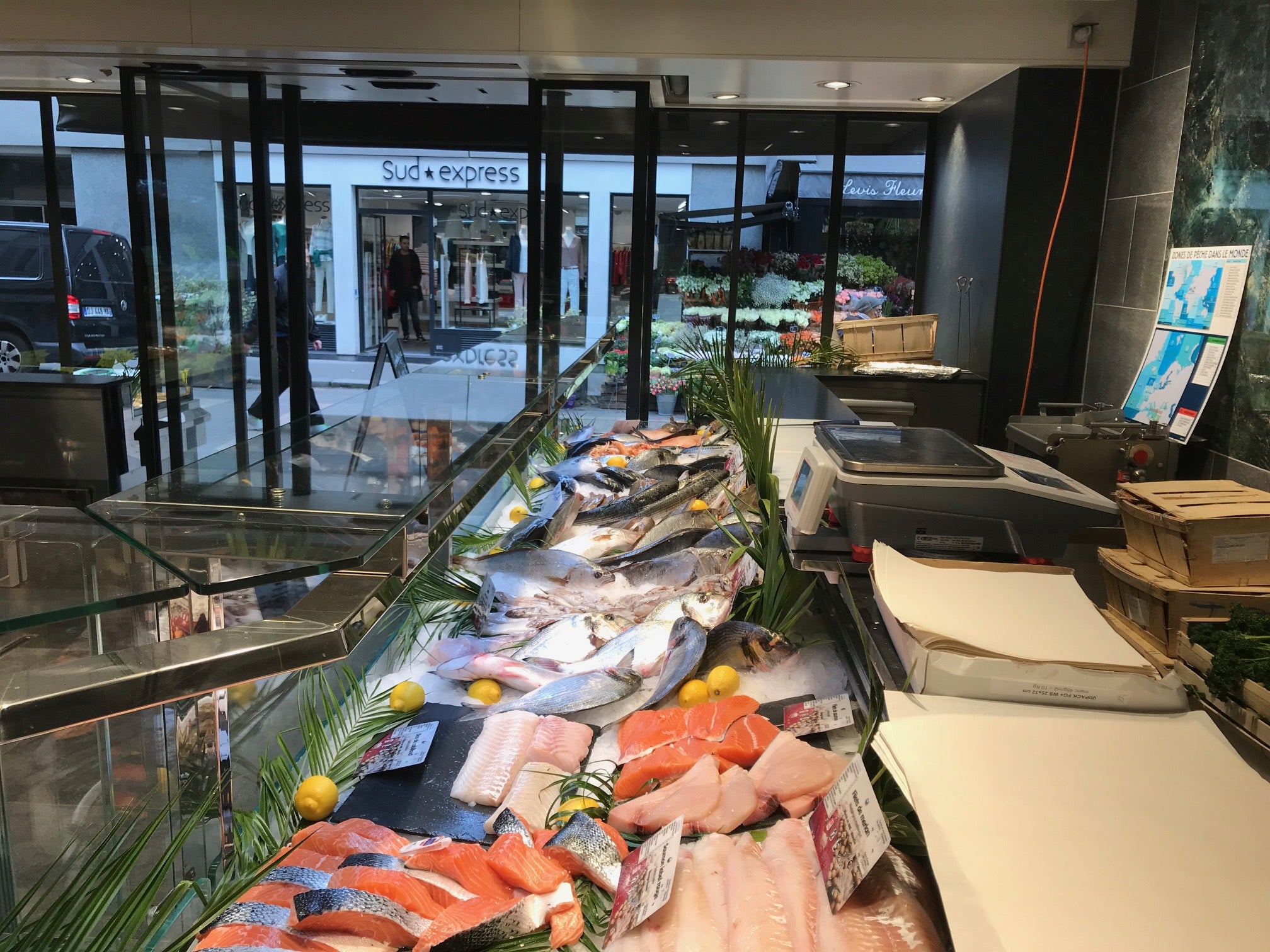 Vitrine réfrigérée de la poissonnerie Levis-Marée réalisée par YD