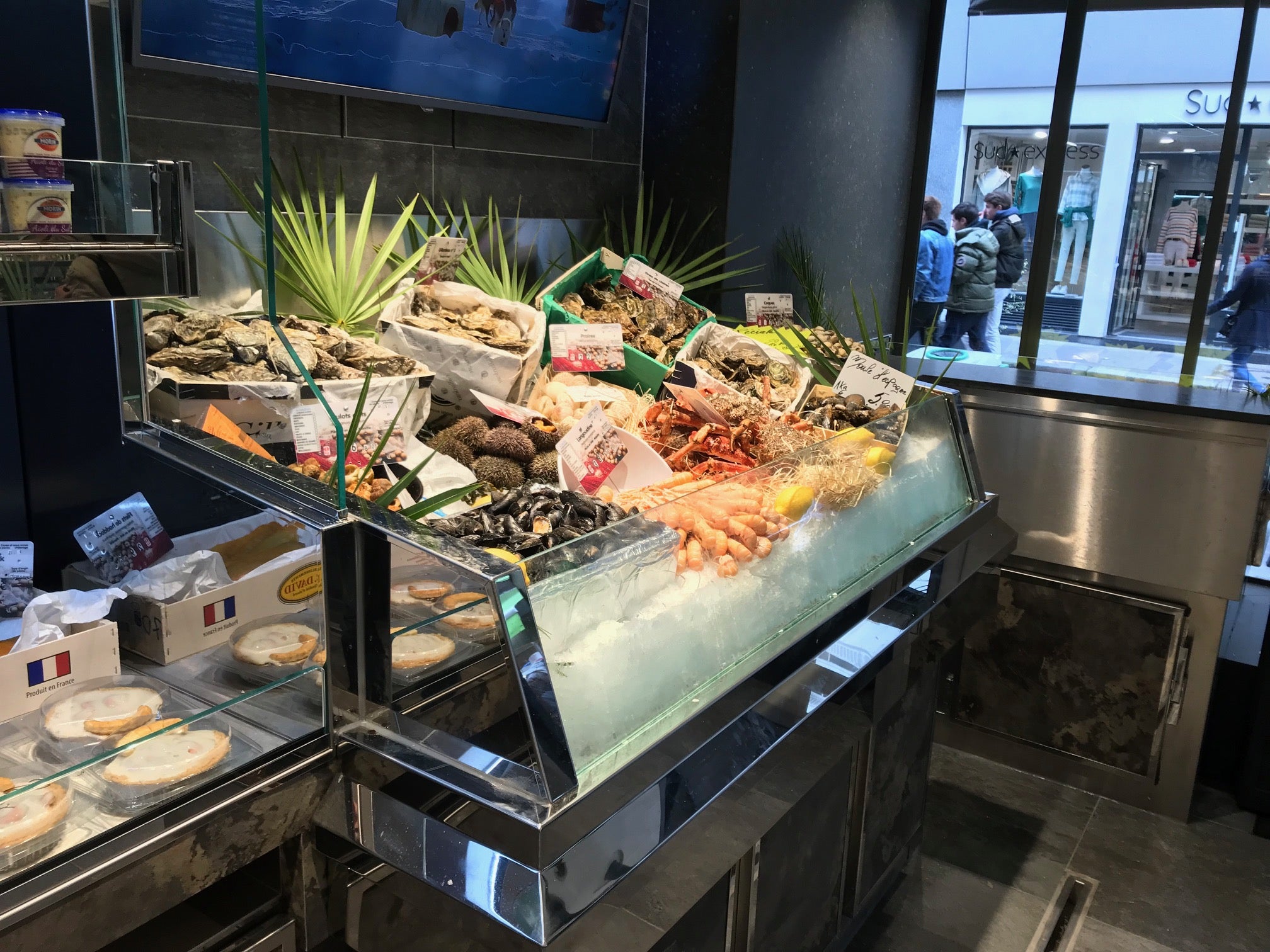 exemple de Vitrine réfrigérée de la poissonnerie Levis-Marée réalisée par YD